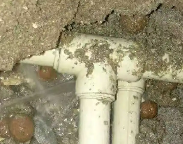 凤凰测漏水多少钱