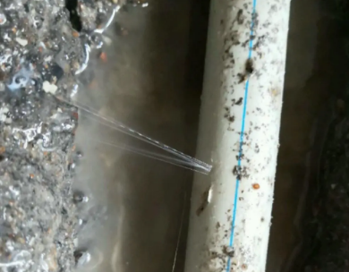 凤凰测漏水哪家好