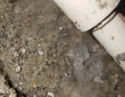 凤凰测漏水电话号码