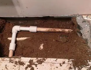 凤凰测漏水哪家好