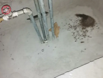 凤凰卫生间测漏水价格明细