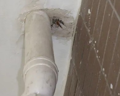 凤凰漏水检测哪家好